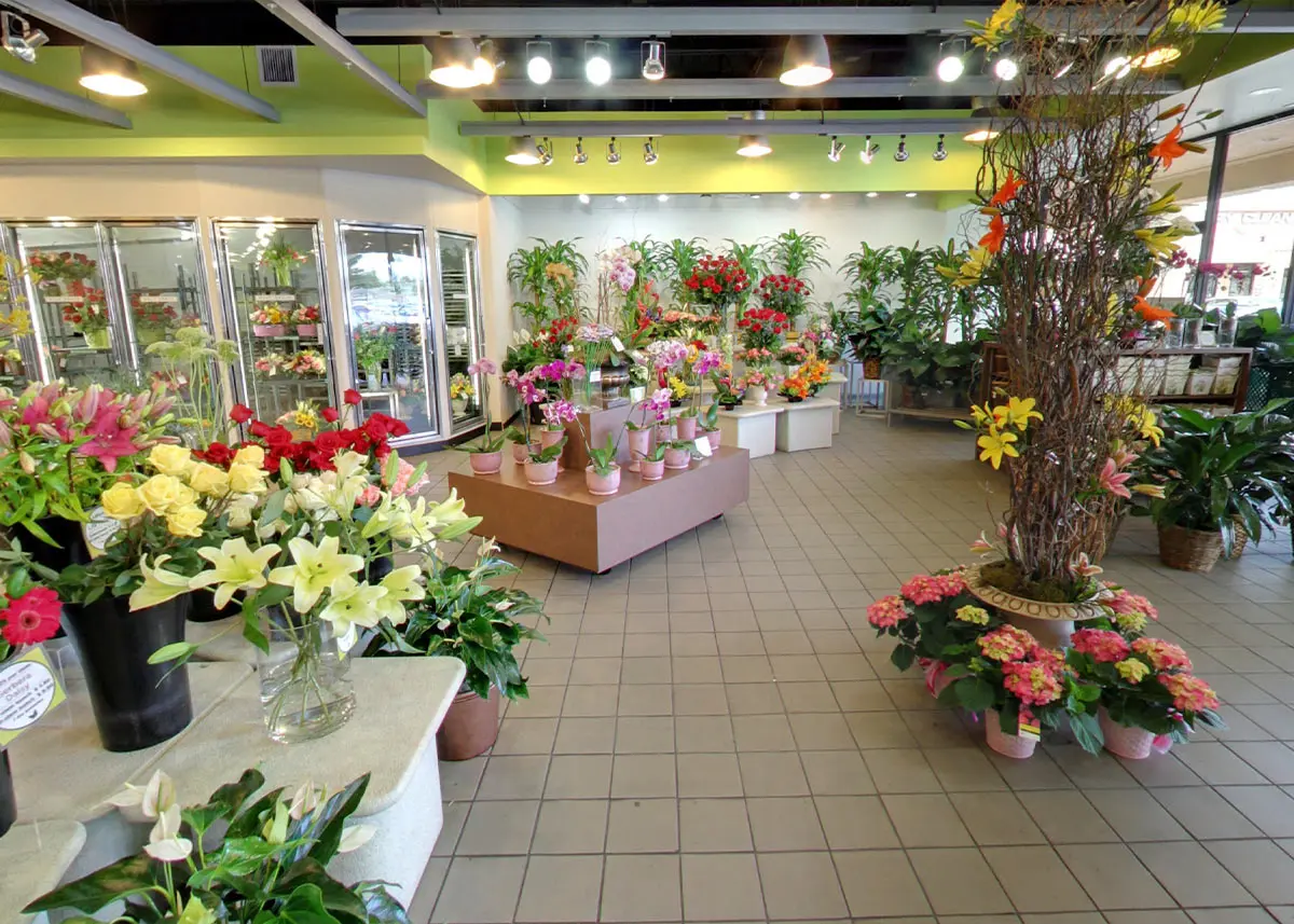 Inside Store