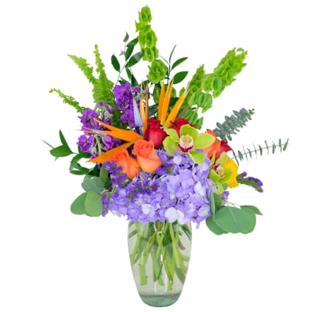 TROPICAL LAVANDER