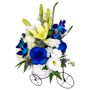 BUNDLE OF BLUE