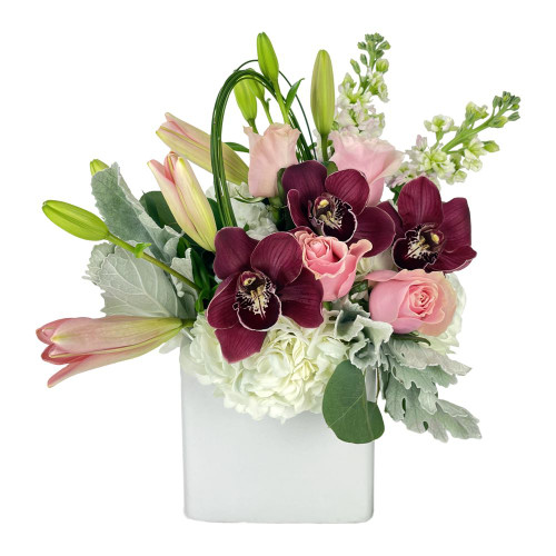 Swirl Cherry May 13th & May 16th