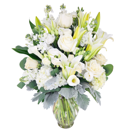 beautiful white