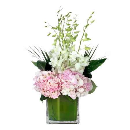 BLUSH ORCHID GARDEN