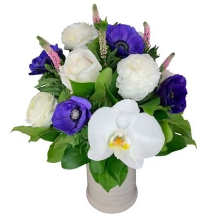 ELEGANT FLOWERS