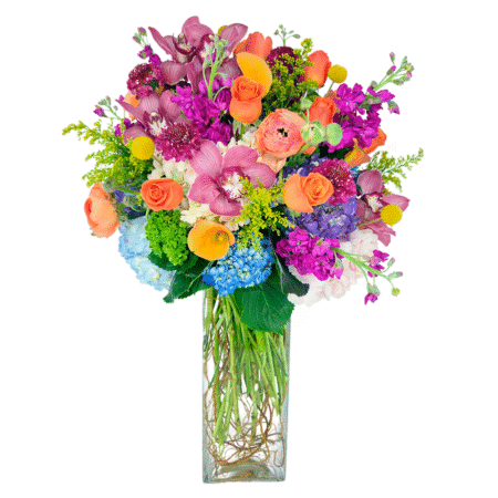 rainbow of flowers