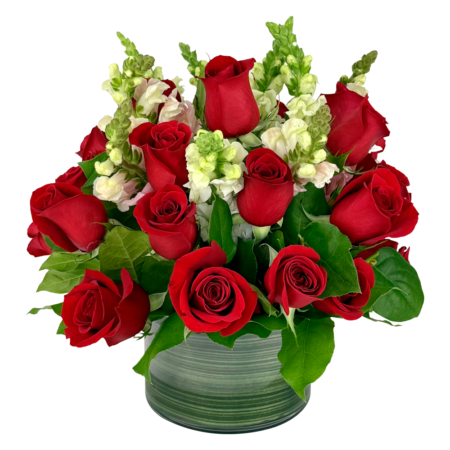 red rose