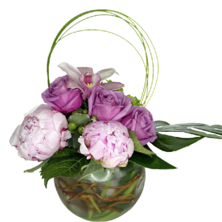 LITTLE PEONY