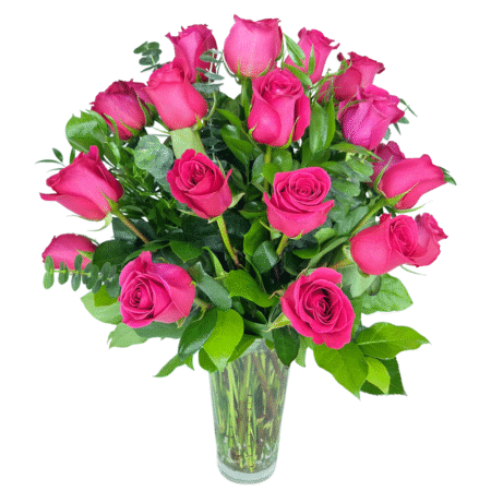 timeless hot pink