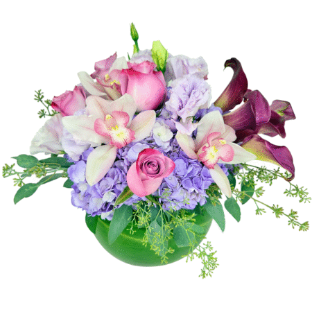 hydrangea and roses plum
