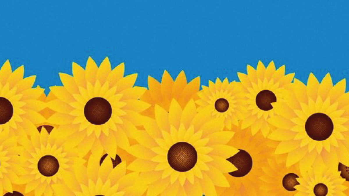 the power of flowers 4