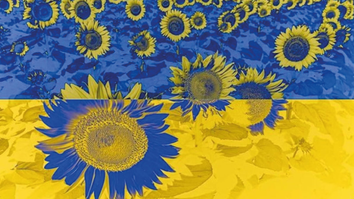the power of flowers
