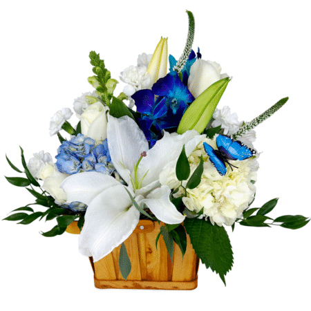 baby blue bliss (copy)
