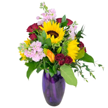 BLOOM COLOR BLASS