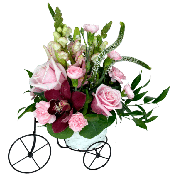 bundle of pink