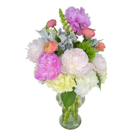 PEONY DAZE