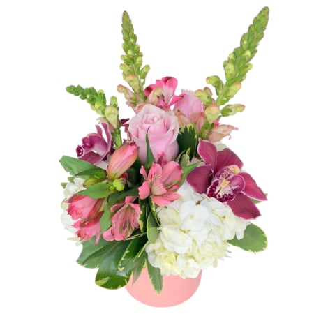PINK PETALS