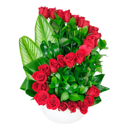 roses with twist red