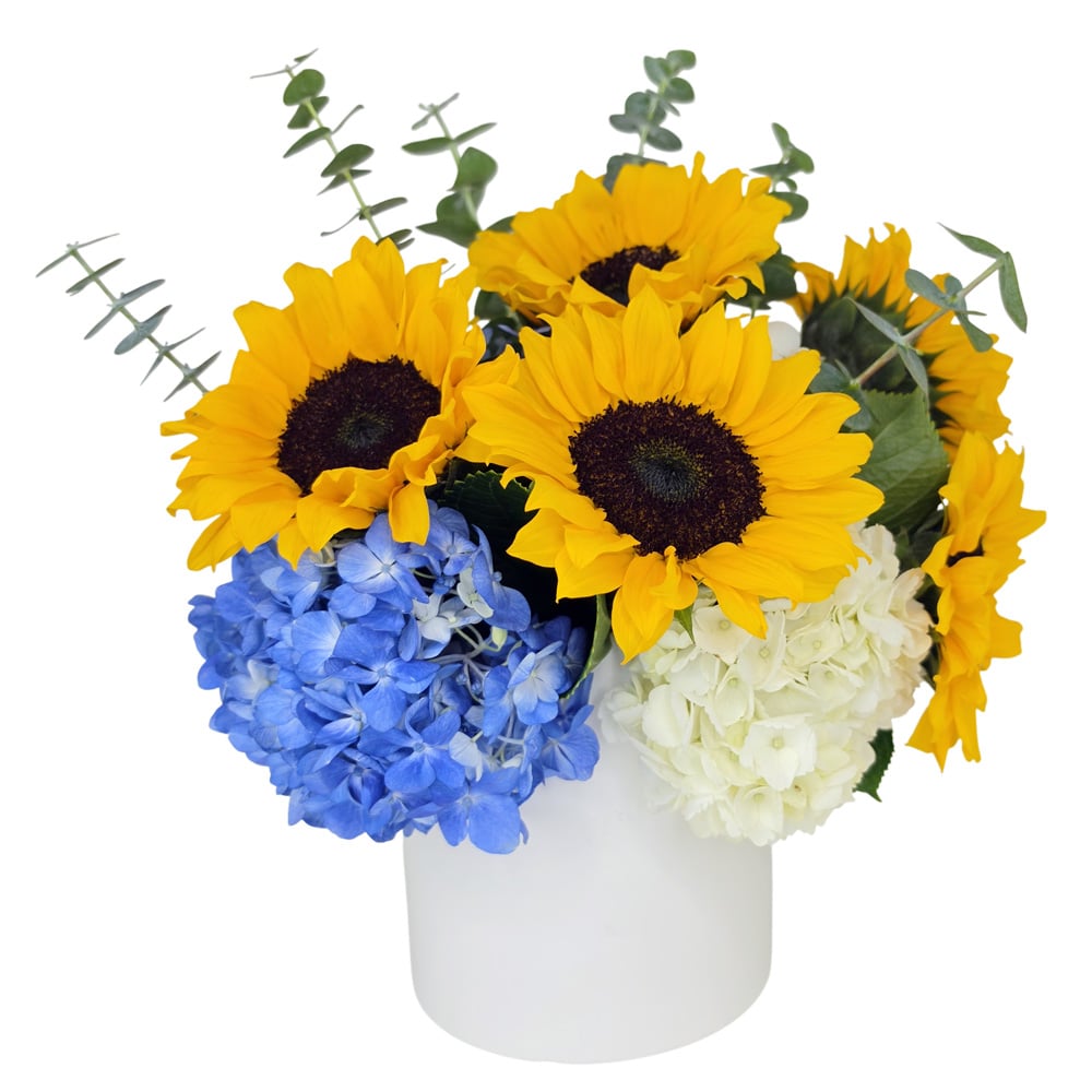SENDING SUNSHINE