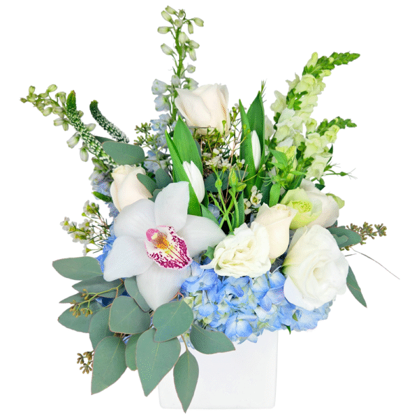 serenade in white