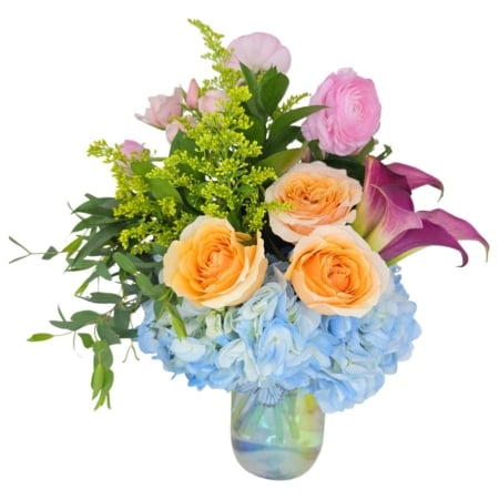 PEACH PETAL OASIS
