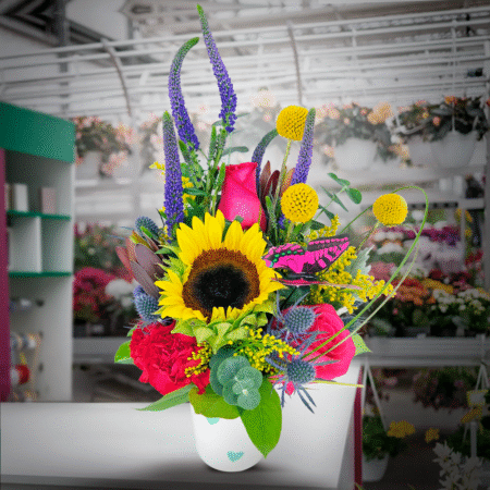 bright spot (nov 19th & 22nd )