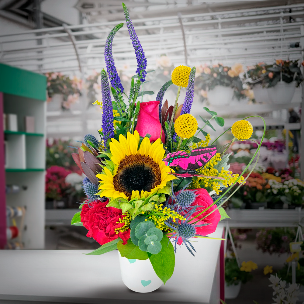 bright spot (nov 19th & 22nd )