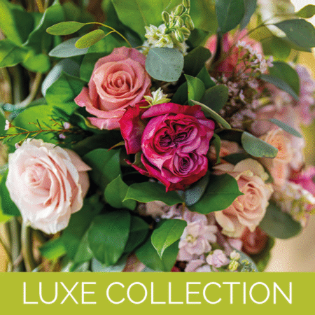 recuadro luxe collection