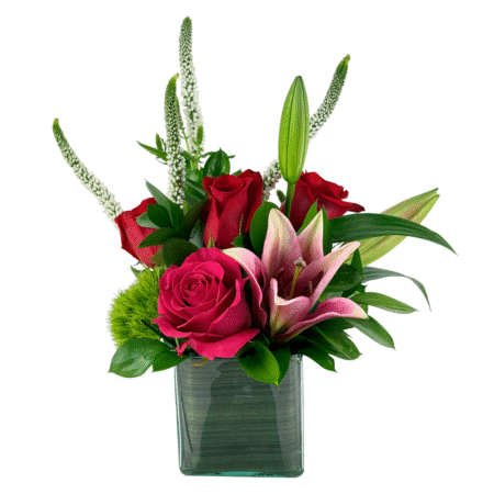 bright spot ( nov 19th & 22nd)