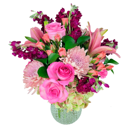 side of sunny (oct 15th & 18th ) a (copy)