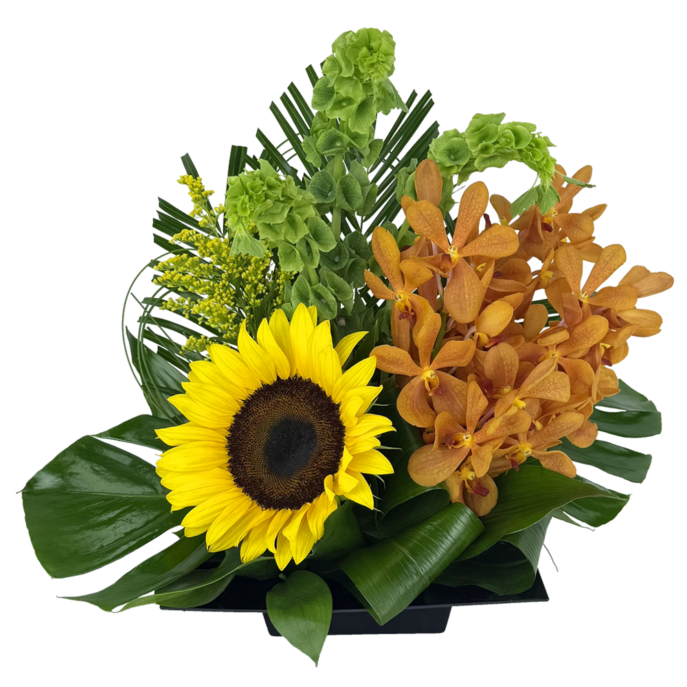 joyful details (copy)