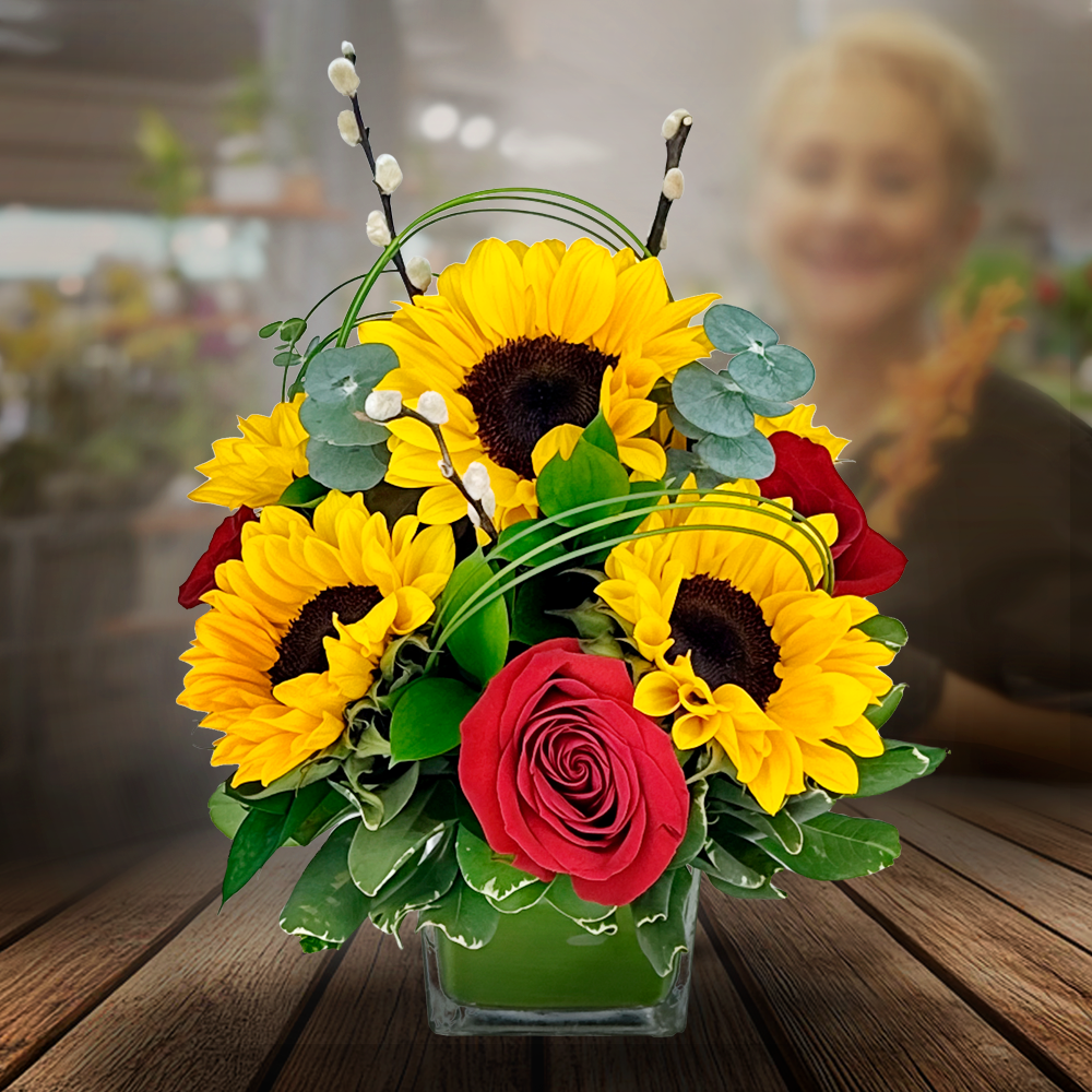 sunshine dream (oct 29th nov 1st )