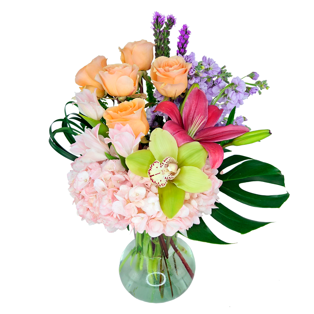 tropicals ( nov 5th & 8th ) a (copy)