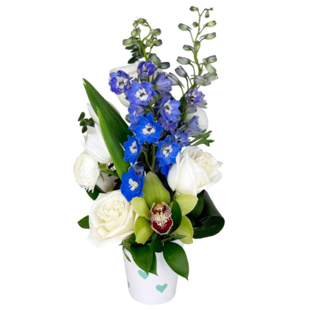 sunshine dream (oct 29th nov 1st ) (copy) (copy)