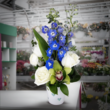 blue crush dec 17th & 20th