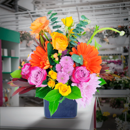 color splash ( dec 10th & 13th )