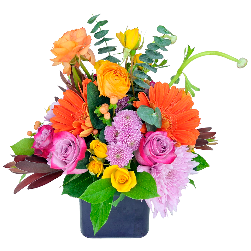 tropicals ( nov 5th & 8th ) a (copy)