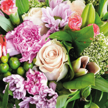 recuadro best seller