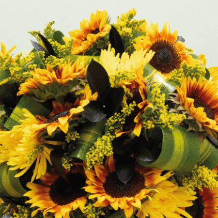 recuadro daily special