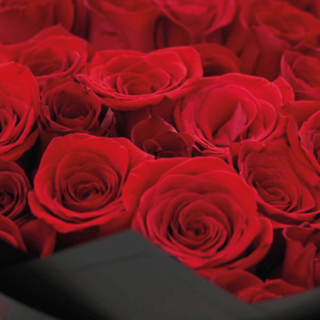 recuadro love and romance