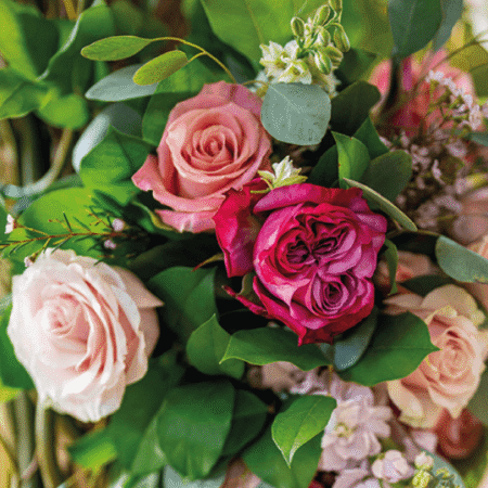 recuadro luxe collection