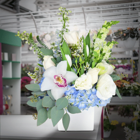 serenade white dec 17th & 20th