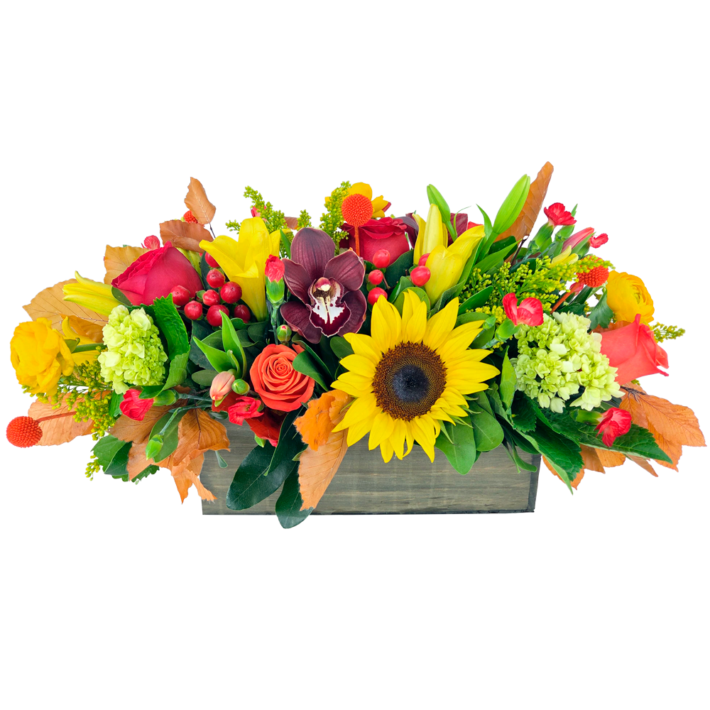HARVEST GLOW CENTERPIECE