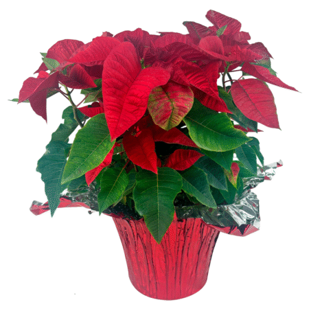 harvest glow centerpiece (copy)