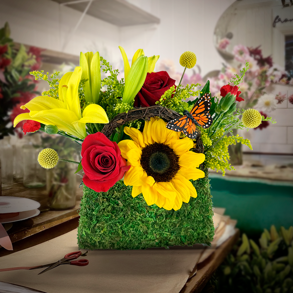 butterfly garden jan 7th & 10th