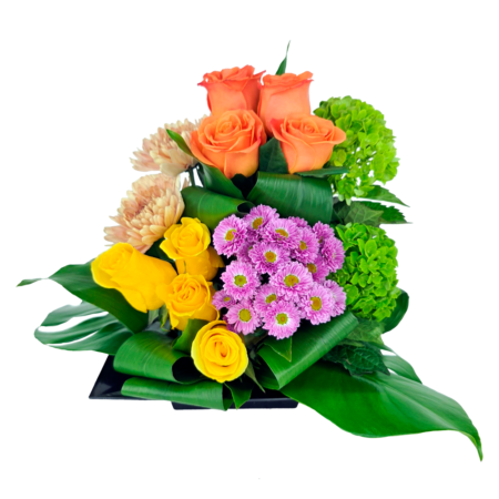 blue crush (dec 17th & 20th) (copy) (copy)