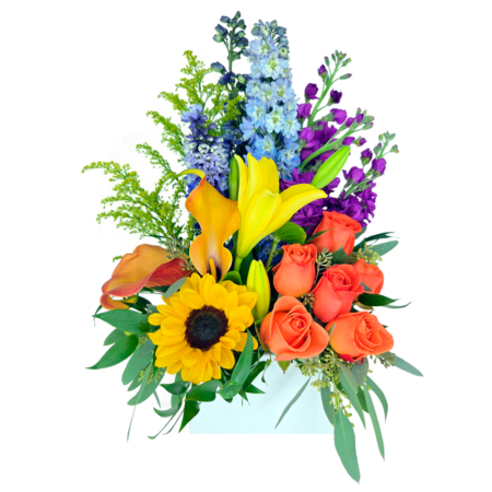 serenade white (dec 17th & 20th) (copy)