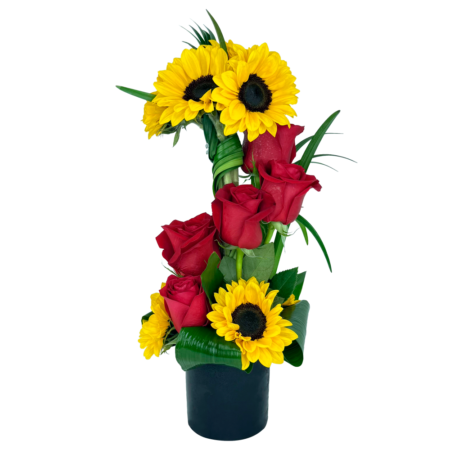 blue crush (dec 17th & 20th) (copy)