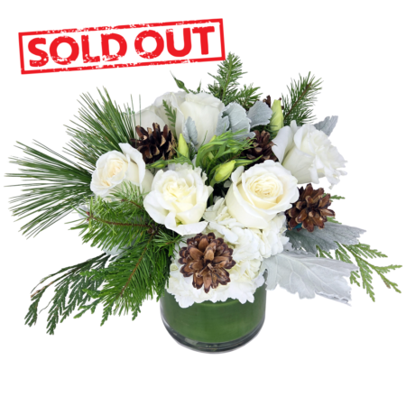 white holiday blooms