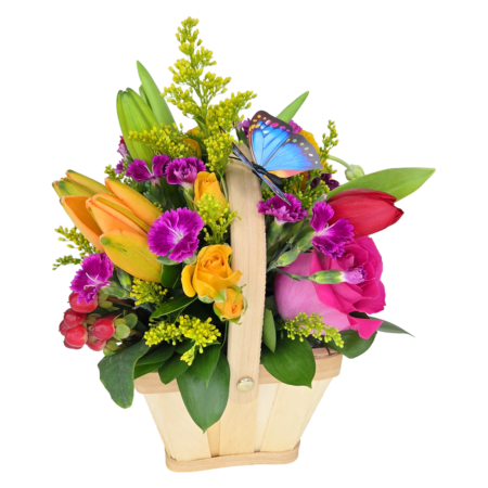 fairy garden (jan 28th & 31st) ***boca is sold out. davie is available!*** (copy)