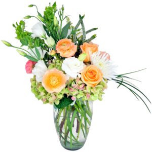 beautiful garden (jan 7th & 10th) a (copy)