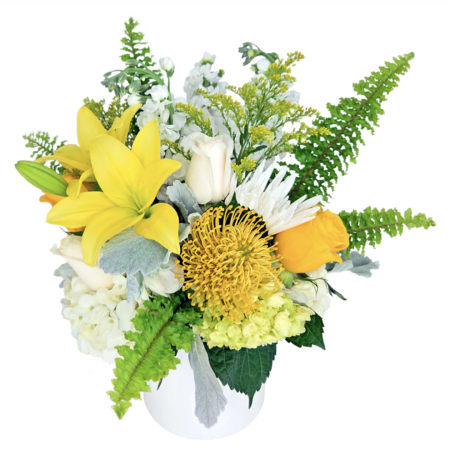 tropicals ( nov 5th & 8th ) a (copy)